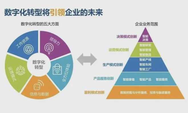 從信息服務業(yè)務看AI轉型壓力 企業(yè)多久會被淘汰？
